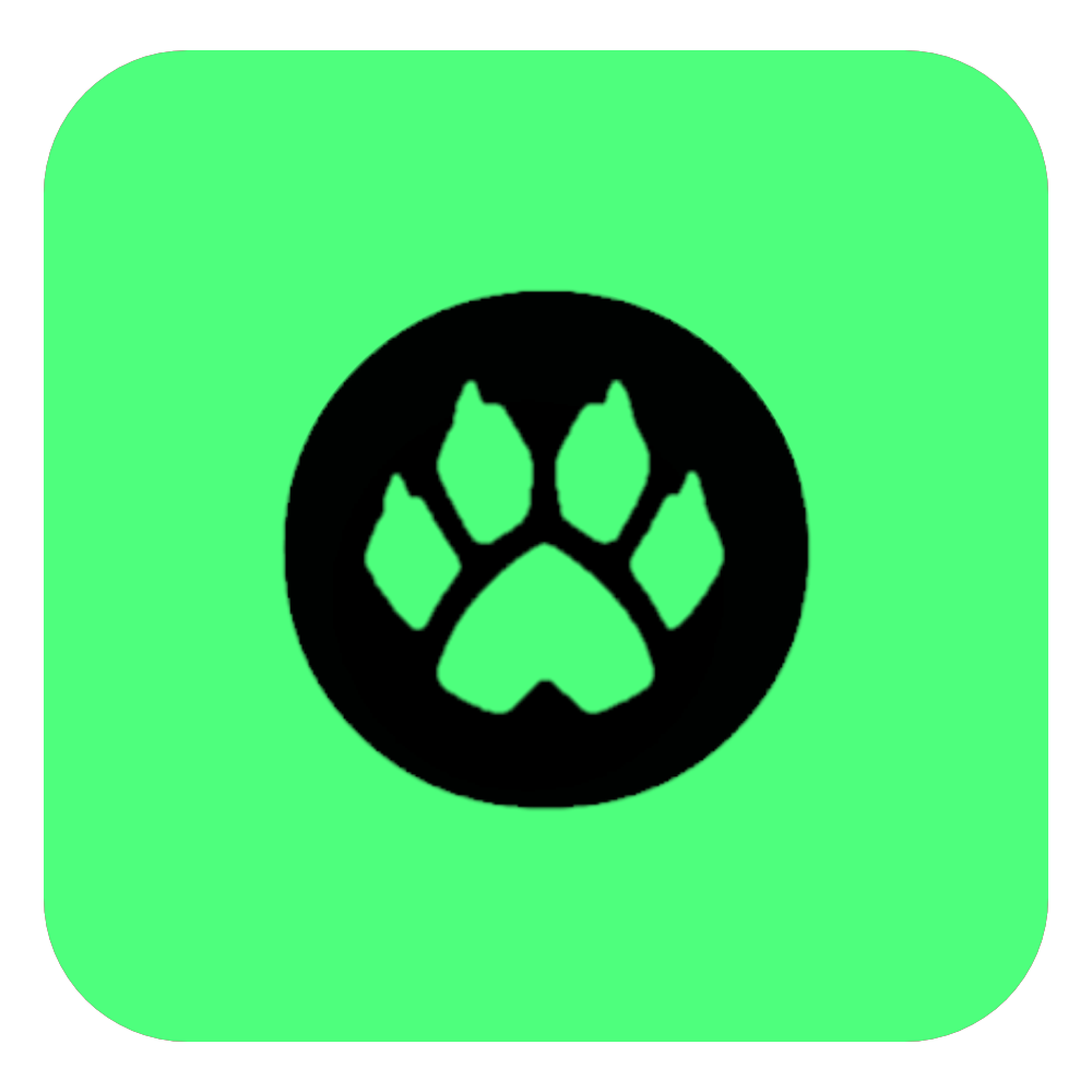 CatNoir TV